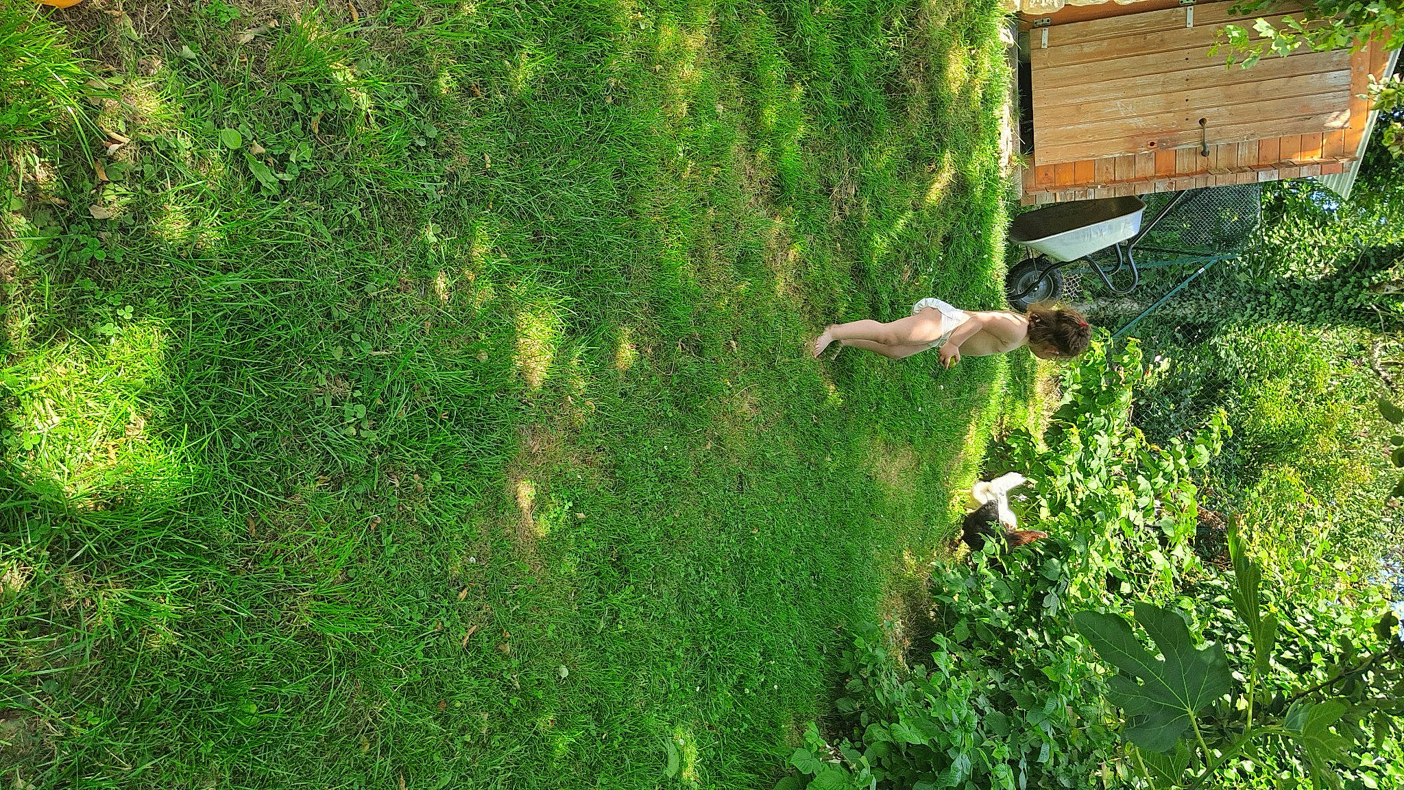 Lina a rejoint le concours — aidez-le/la à gagner de superbes lots ! grass, green, lawn, person, plant, shrub, tree, vascular_plant, vegetation