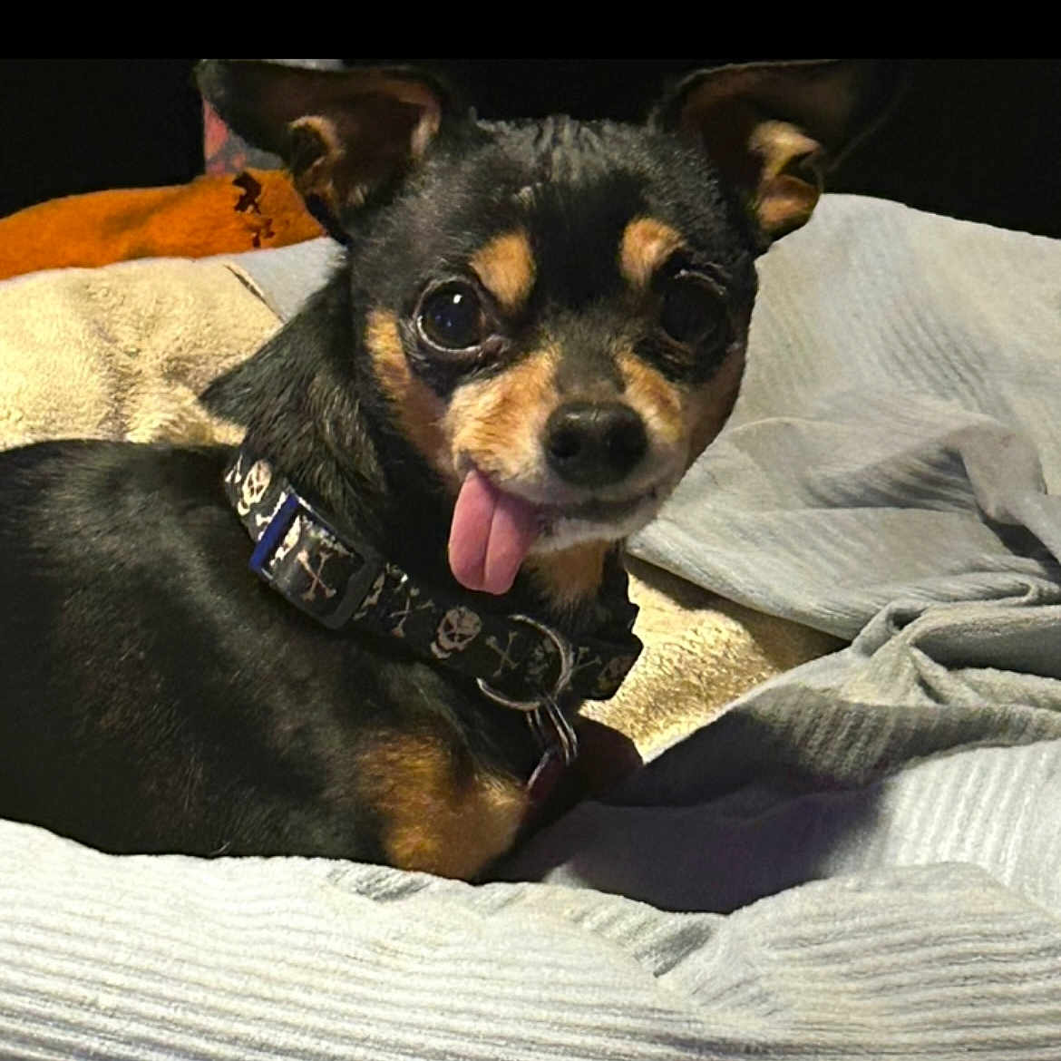 Sebastian Aka Bubs