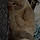 Casper