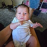 Nicolas joined the competition — help win amazing prizes! baby, infant, person, child, white_onesie, carpet, cat, animal, legs, shorts, furniture, shelf, books, toy, living_room, floor, door, hand, arm, indoor