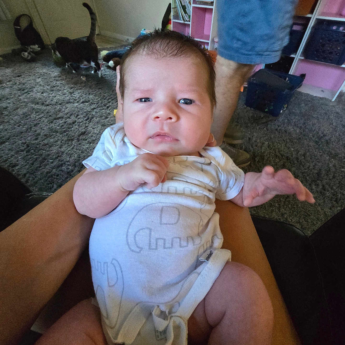 Nicolas joined the competition — help win amazing prizes! baby, infant, person, child, white_onesie, carpet, cat, animal, legs, shorts, furniture, shelf, books, toy, living_room, floor, door, hand, arm, indoor