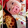 baby, pacifier, headband, bow, blanket, teddy_bear, stuffed_animal, face, infant, cozy, cute, portrait, lying_down, colorful, patterned_blanket, soft_toy, child, indoors, closeup, floral_background