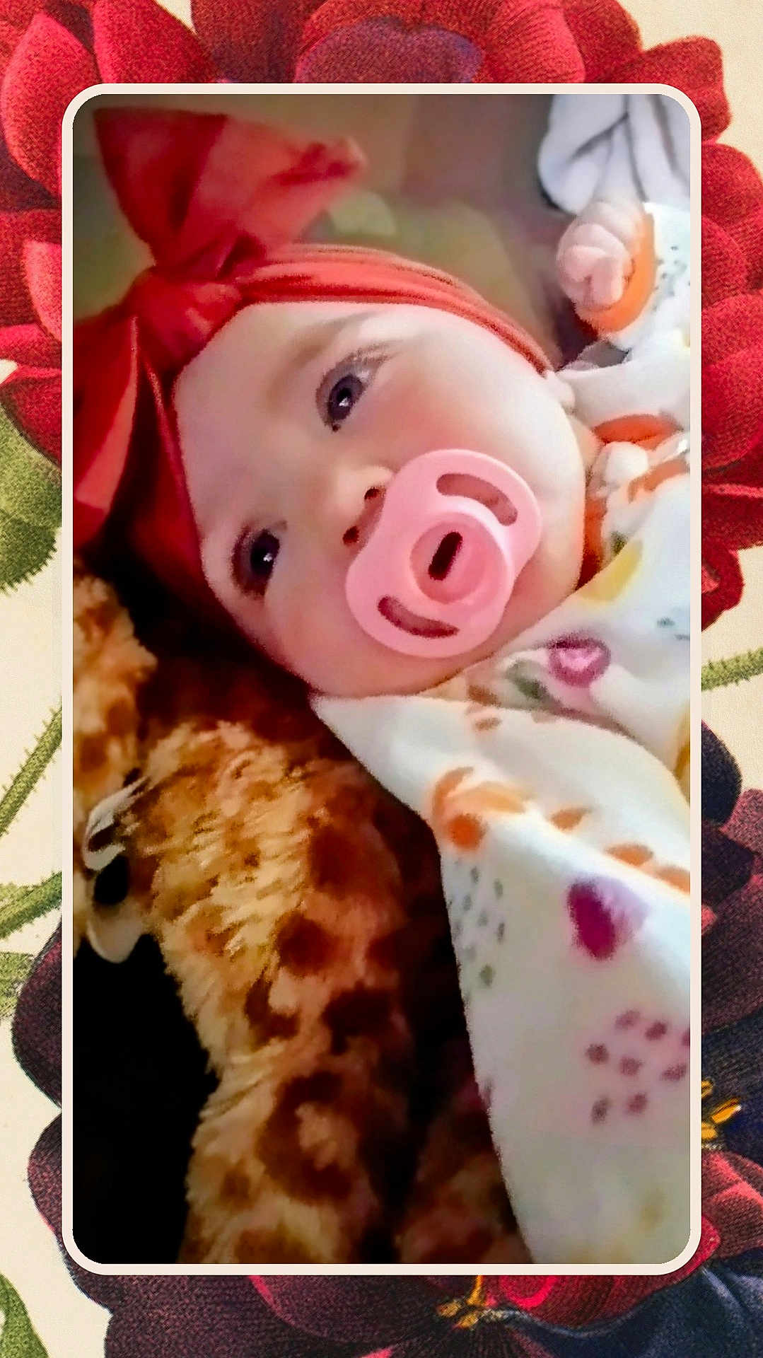 Rhaenyra is registered to the contest to win money with this photo: baby, pacifier, headband, bow, blanket, teddy_bear, stuffed_animal, face, infant, cozy, cute, portrait, lying_down, colorful, patterned_blanket, soft_toy, child, indoors, closeup, floral_background