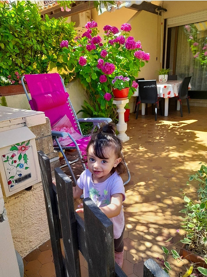 Jannat participe au concours pour gagner de l'argent avec cette photo : annual_plant, box, chair, event, floral_design, floristry, flower, flower_arranging, flowerpot, garden, grass, houseplant, joy, leisure, magenta, person, petal, pink, plant, shrub