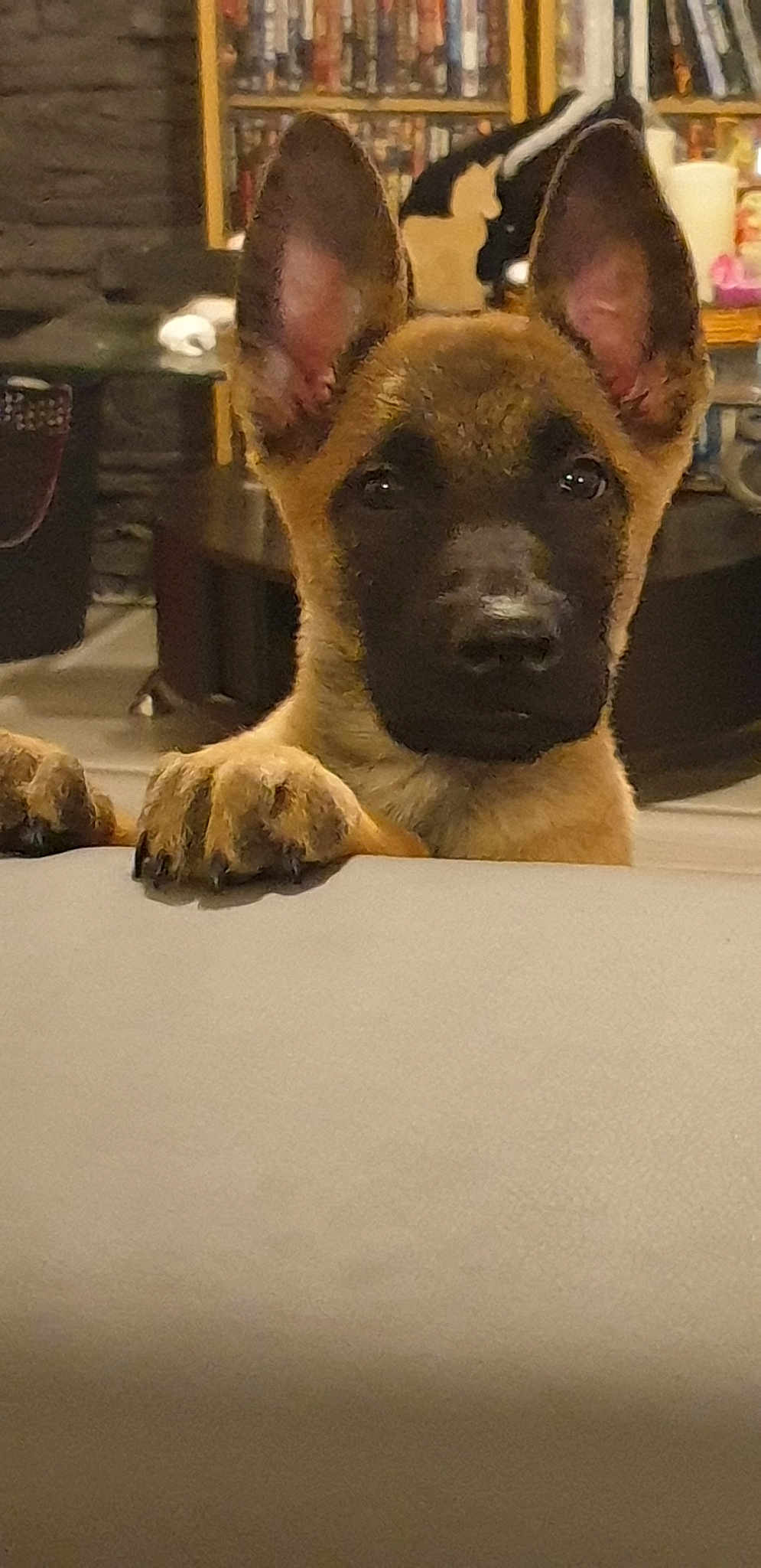 Tyson