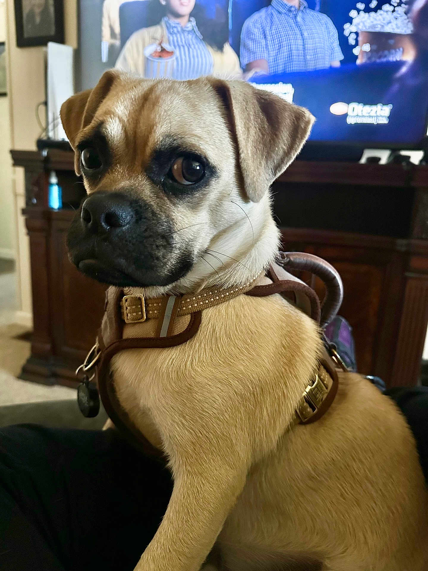 Gus