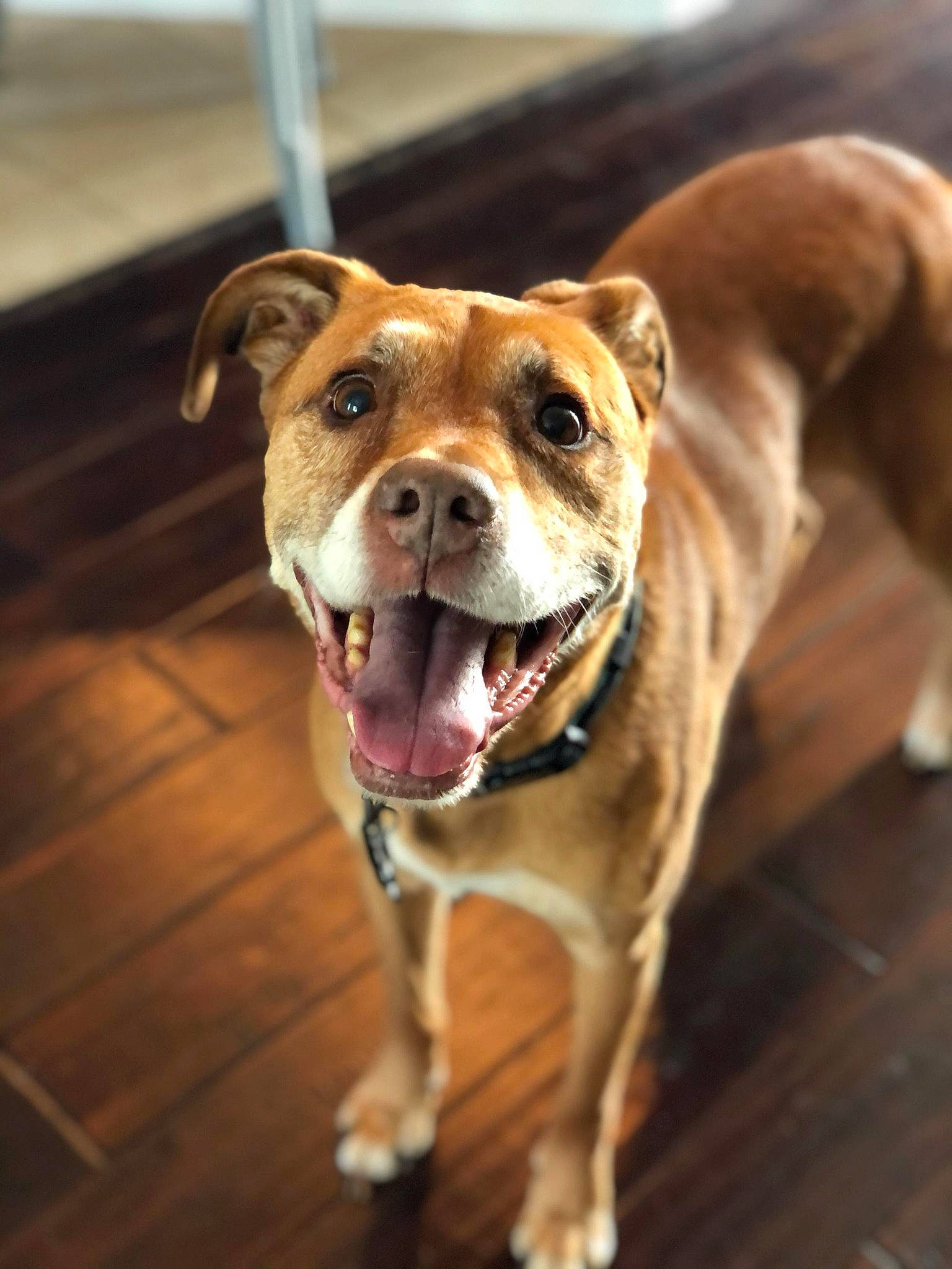 Marley