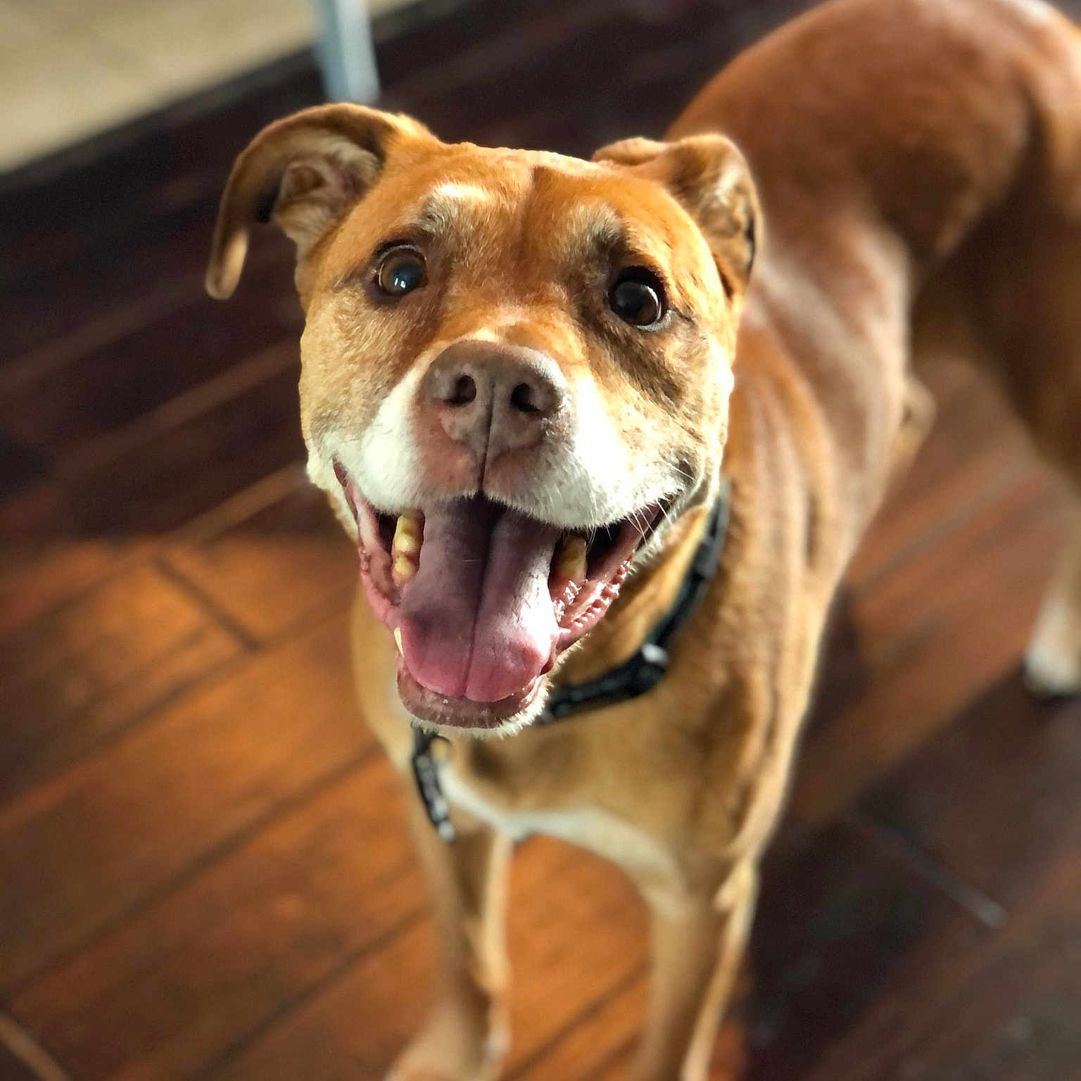 Marley