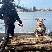 Sky is registered to the contest to win money with this photo: person, dog, leash, log, rocks, water, bridge, sky, urban, outdoor, curly_hair, black_hoodie, casual_clothing, happy_dog, sitting, daytime, cityscape, side_view, smile, nature