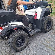 Orphée a rejoint le concours — aidez-le/la à gagner de superbes lots ! adventure, animal, atv, black_clothing, daylight, dog, grass, gravel, handlebars, house, long_hair, outdoor, person, pet, quad_bike, riding, sitting, vehicle, wheels, woman