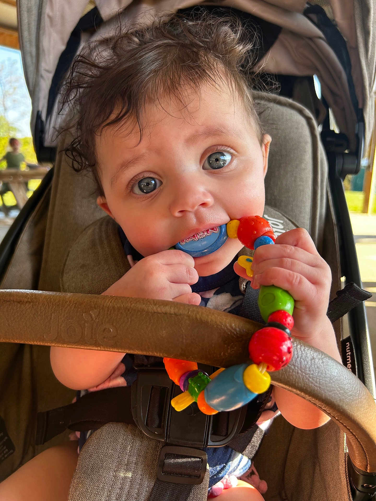 Iris joined the competition — help win amazing prizes! baby, child, stroller, toy, colorful, chewing, curious, indoors, seatbelt, closeup, hand, face, blue_eyes, hair, infant, playful, candid, comfort, expression, sunlight