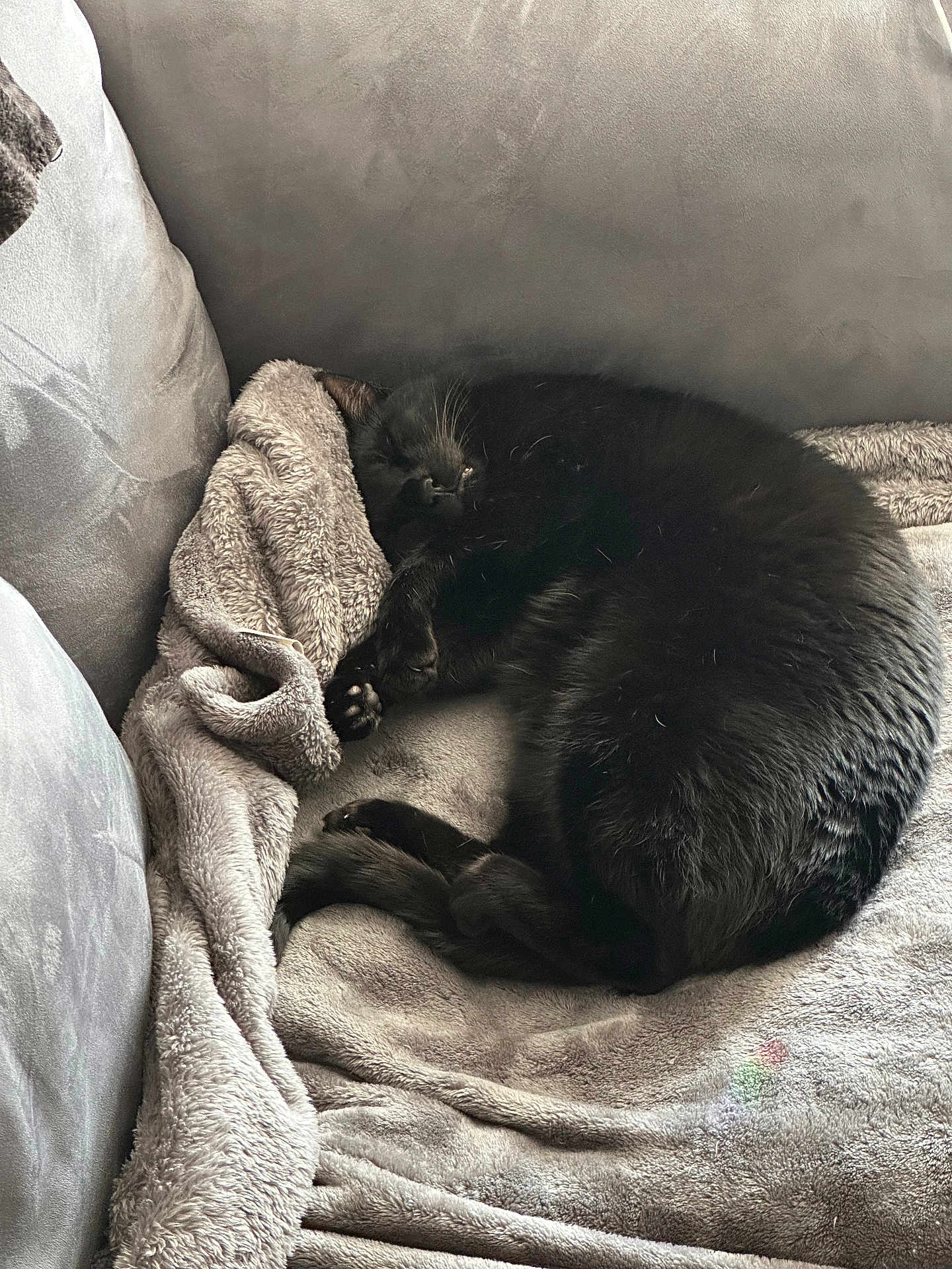 Tuukka