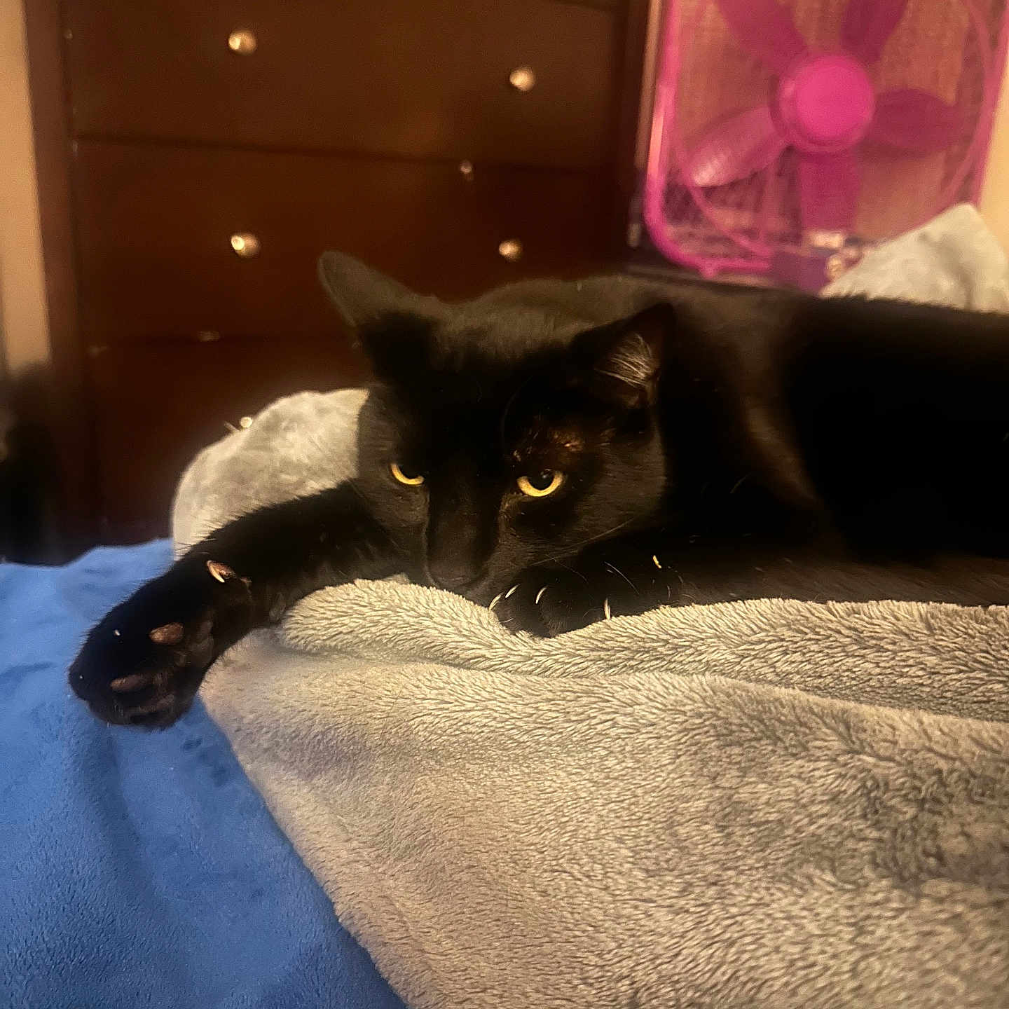 Tuukka