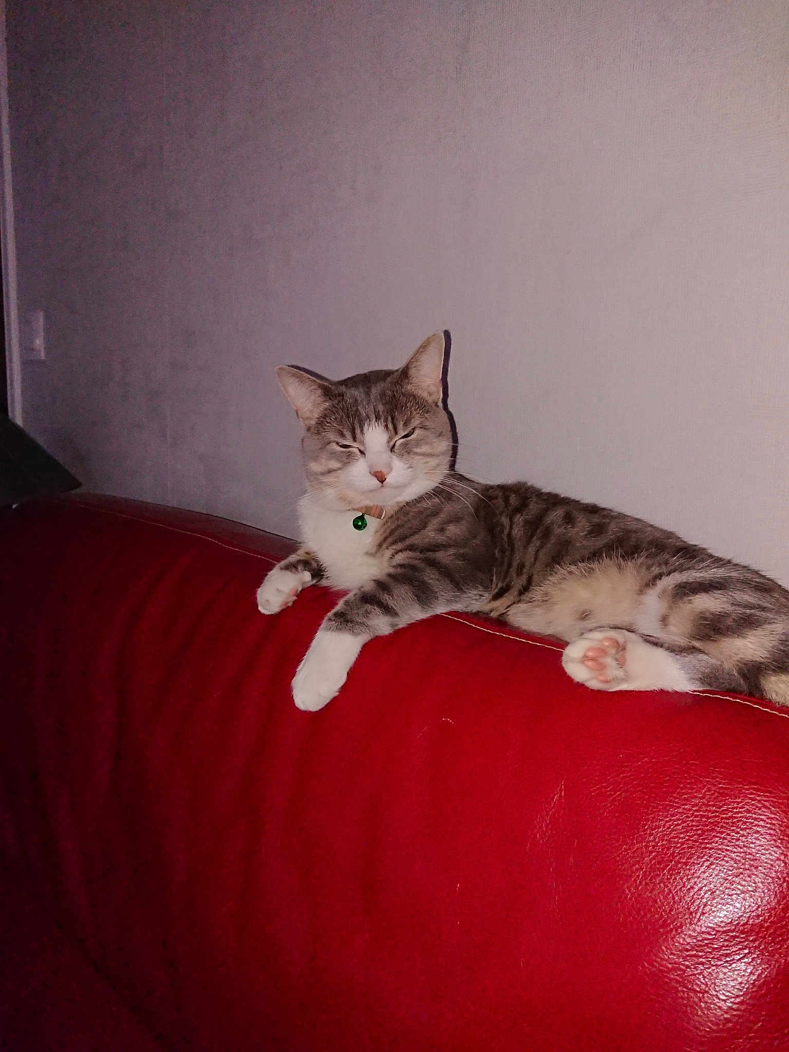 Milo
