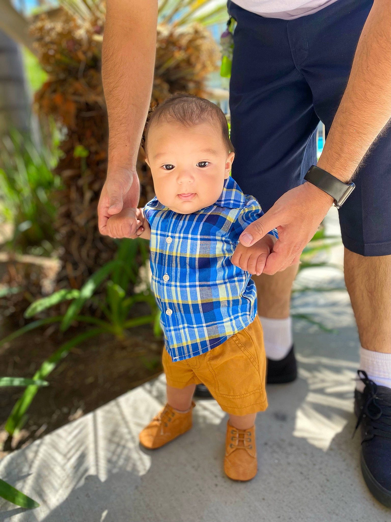 Dominik is registered to the contest to win money with this photo: baby, footwear, gesture, grass, happy, holding_hands, human_body, leg, leisure, mammal, people_in_nature, person, plaid, plant, shoe, sneakers, standing, tartan, toddler, tree