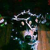 Peanut-butter joined the competition — help win amazing prizes!