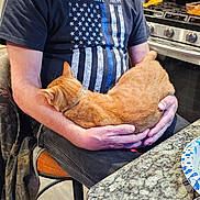 Oscar joined the competition — help win amazing prizes! american_flag, beard, black_tshirt, cap, cat, facial_hair, glasses, granite_countertop, holding, indoor, kitchen, man, mustache, orange_tabby, plate, relaxed, sitting, stool, stove, utensils