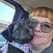 Gracie Mae is registered to the contest to win money with this photo: animal, car_interior, casual, closeup, cuddling, daylight, dog, face, fur, glasses, leisure, nose, person, pet, portrait, purple_harness, red_hair, seat, smile, window