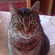 LEO a rejoint le concours — aidez-le/la à gagner de superbes lots !