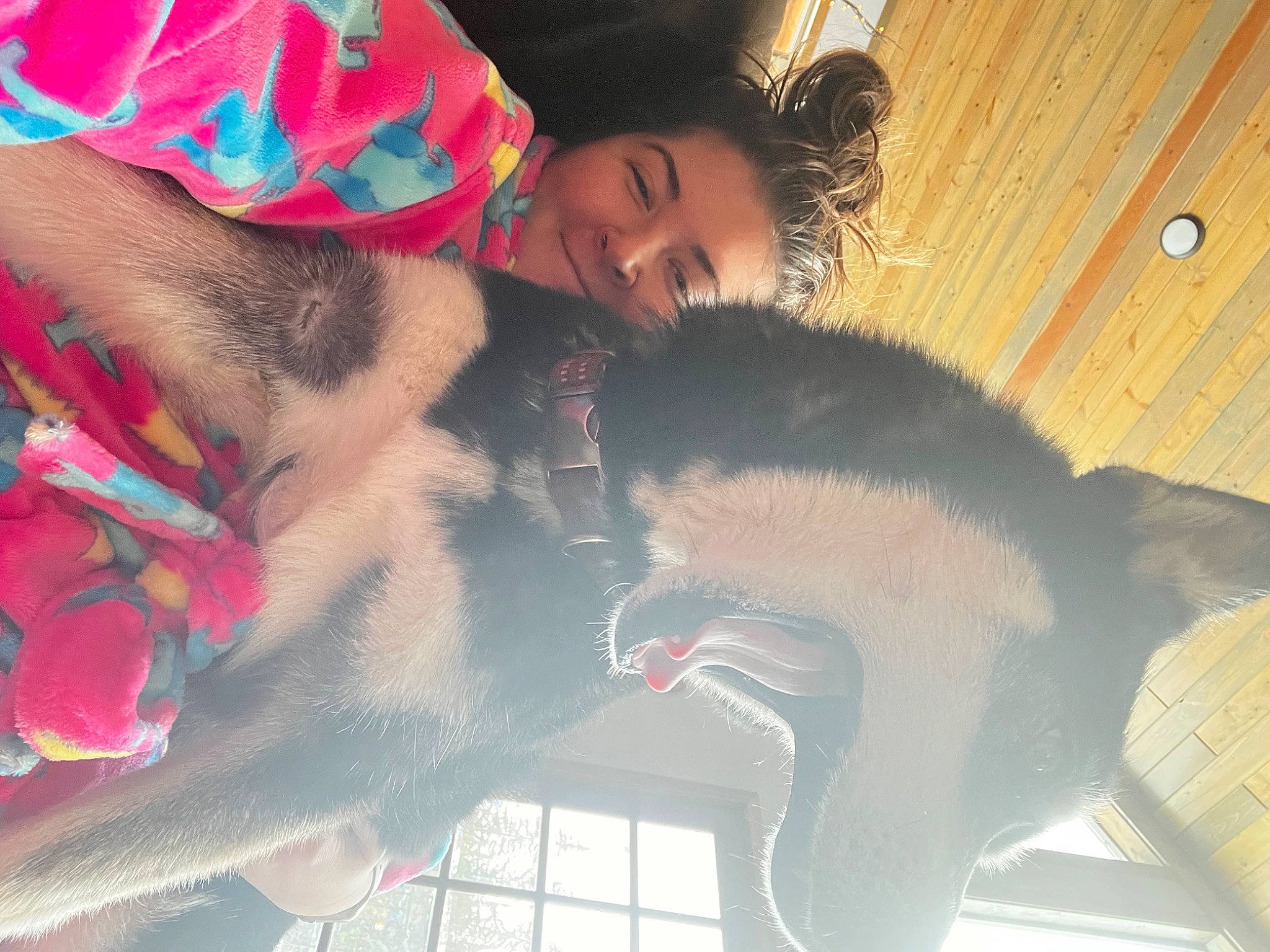 Bundy Louise is registered to the contest to win money with this photo: beak, cap, companion_dog, dog_breed, feather, felidae, fun, fur, happy, headgear, leisure, magenta, mouth, pink, small_to_medium_sized_cats, tail, tree, wing