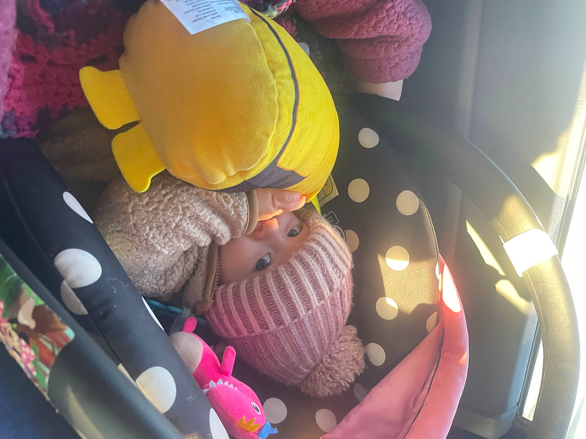 Lily is registered to the contest to win money with this photo: baby, baby_carriage, baby_products, car_seat, car_seat_cover, child, comfort, family_car, fun, hat, headwear, leisure, pattern, person, personal_protective_equipment, plastic, play, recreation, sitting, toddler