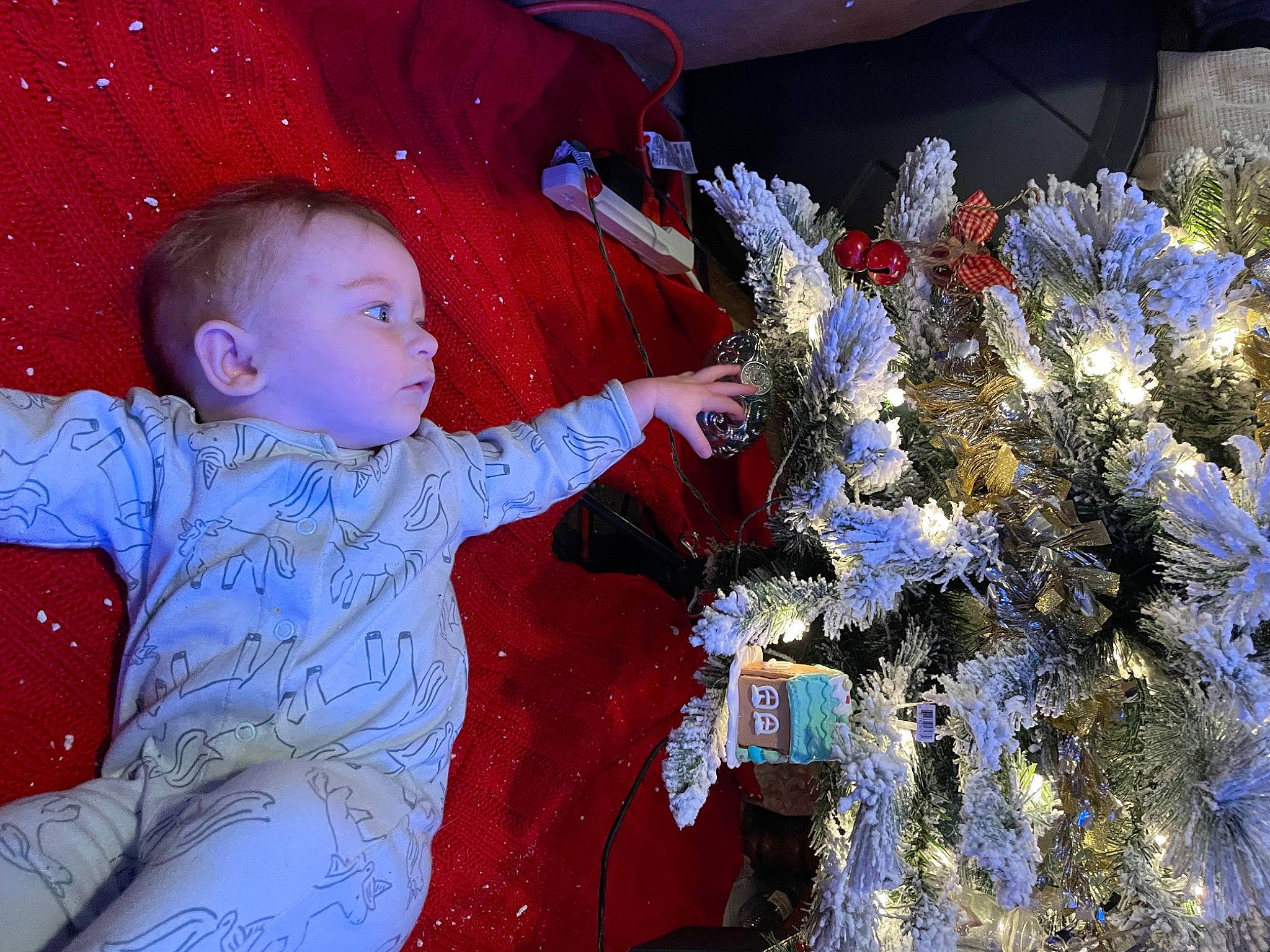 Lily is registered to the contest to win money with this photo: baby_toddler_clothing, beauty, christmas, christmas_decoration, christmas_eve, christmas_ornament, christmas_tree, fun, happy, holiday, holiday_ornament, human_body, lap, organ, ornament, people, person, plant, textile, toddler