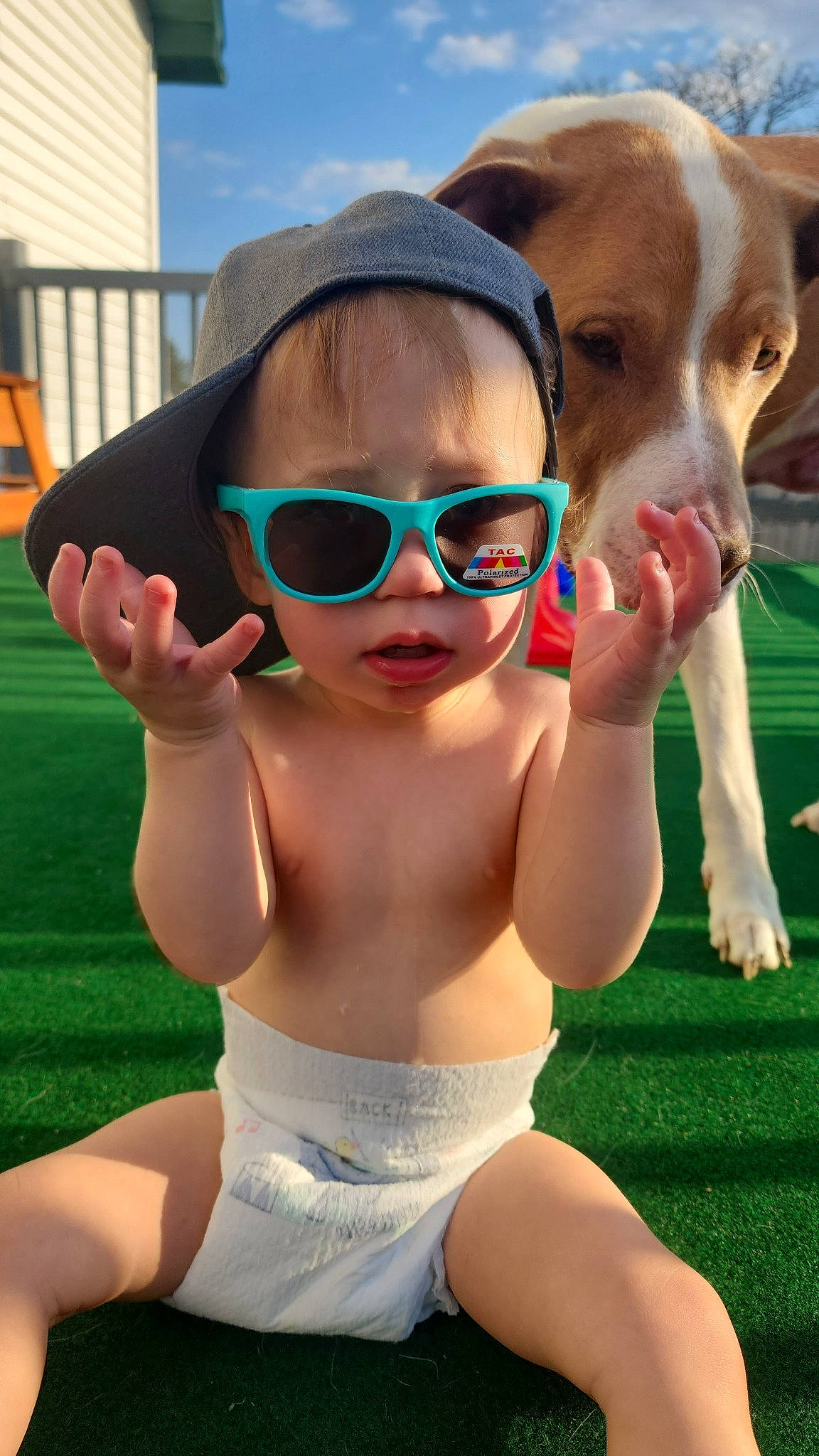 Buckley joined the competition — help win amazing prizes! carnivore, chest, cool, dog, eyewear, finger, fun, gesture, glasses, goggles, grass, happy, leisure, muscle, person, personal_protective_equipment, sky, sunglasses, toddler, vision_care