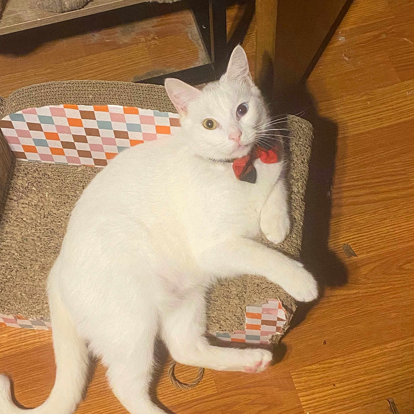 Casper