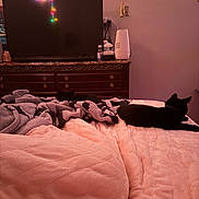 Storm And Dobby is registered to the contest to win money with this photo: bed, black_cat, blanket, cat, cozy, dimmer_light, dresser, furniture, indoor, nighttime, pets, pink_tone, quiet, resting, soft_texture, television, two_cats, wall_art, warm_light, wooden_furniture
