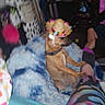 Layla Rose Morris is registered to the contest to win money with this photo: blanket, blue, blurred, casual, clothing, colorful, cozy, dog, furry, hat, indoor, leg, leggings, patterned, paw, person, pet, resting, small_dog, sombrero