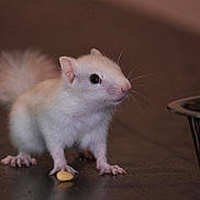 Hiro participe au concours pour gagner de l'argent avec cette photo :