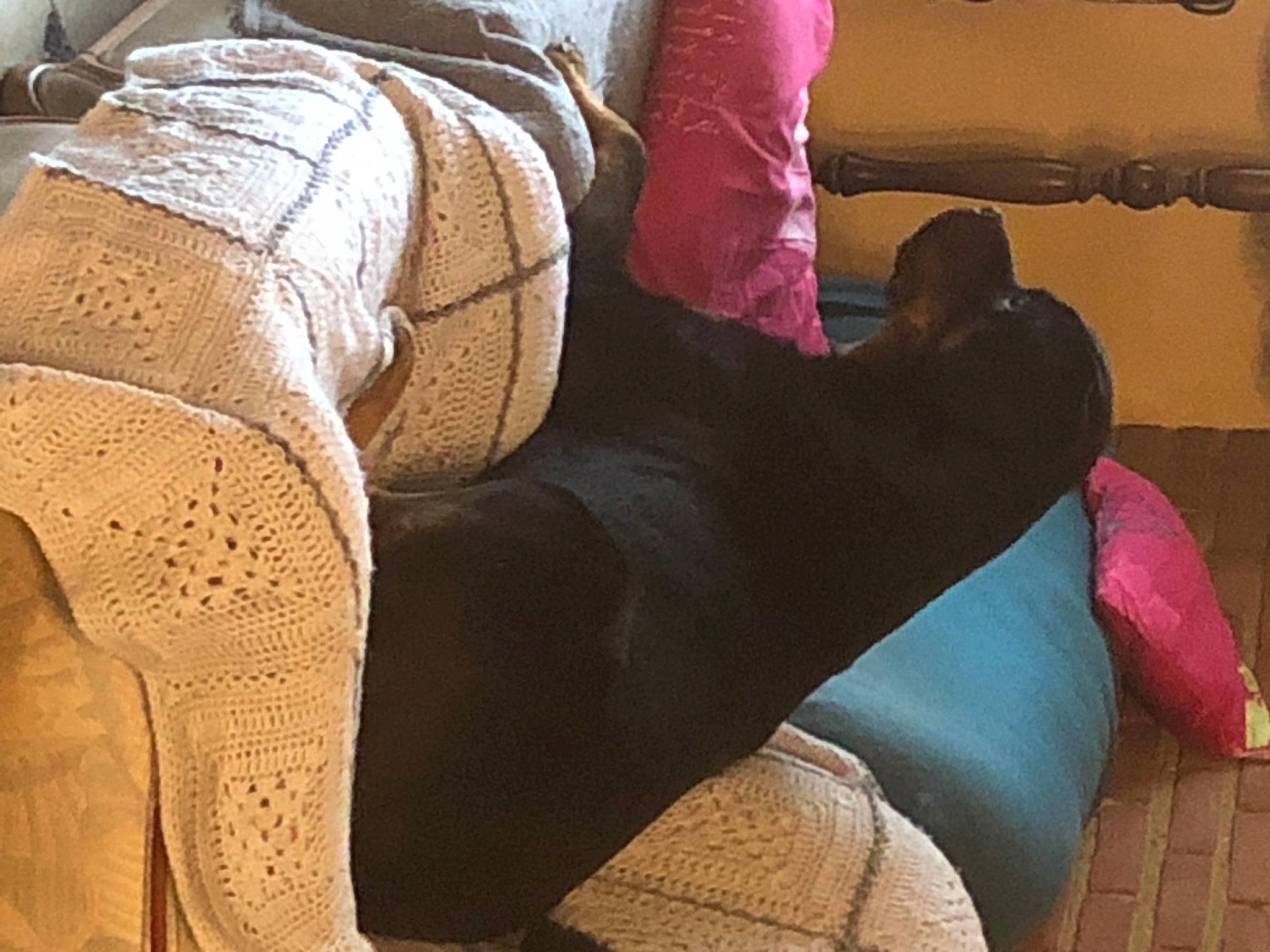 Penelope participe au concours pour gagner de l'argent avec cette photo : abdomen, barefoot, bedding, comfort, denim, elbow, floor, flooring, foot, human_leg, knee, linens, sitting, sleeve, thigh, tints_and_shades, trunk, waist, wood, wrist