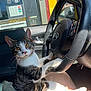 animal, car_interior, cat, domestic_cat, door, ears, eyes, feline, gas_station, lap, paw, person, pet, reflection, seat, steering_wheel, sunlight, tabby_cat, whiskers, window