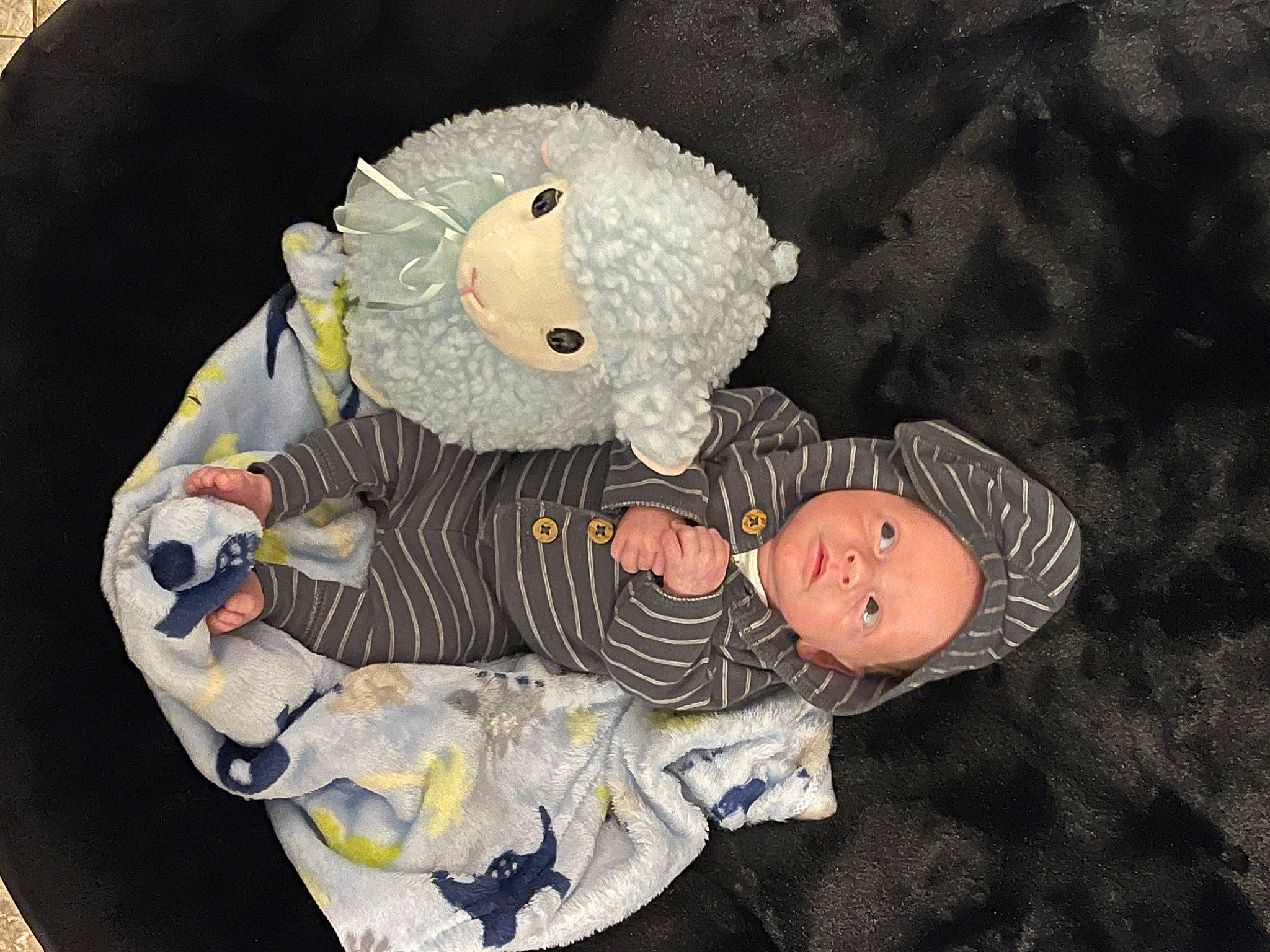 Kody joined the competition — help win amazing prizes! baby, baby_products, baby_toddler_clothing, baby_toys, child, christmas, doll, event, hat, head, human_body, lap, person, plush, room, sitting, sleeve, stuffed_toy, teddy_bear, toddler