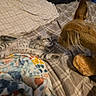 Millie is registered to the contest to win money with this photo: kitten, dog, bed, blanket, pillow, indoor, animal_interaction, curious, plaid, brown_dog, striped_kitten, pet, cozy, furry, lying_down, sniffing, soft, resting, cute, domestic_animals