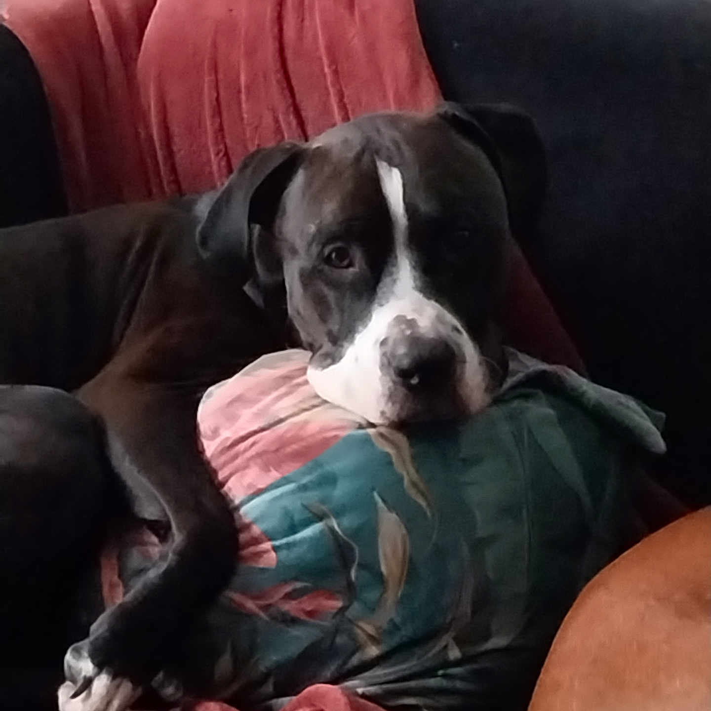 Keyser