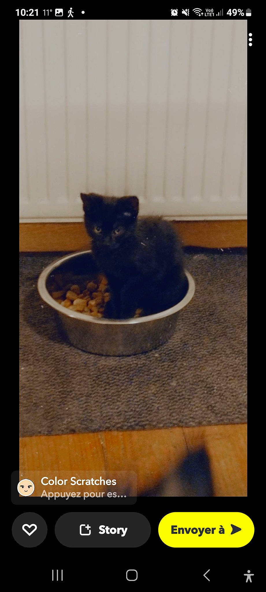 Charly a rejoint le concours — aidez-le/la à gagner de superbes lots ! animal_feed, black_cat, bombay, carnivore, cat, cat_food, cat_supply, domestic_short_haired_cat, felidae, flooring, fur, hardwood, pet_food, pet_supply, rectangle, room, small_to_medium_sized_cats, tail, whiskers, wood