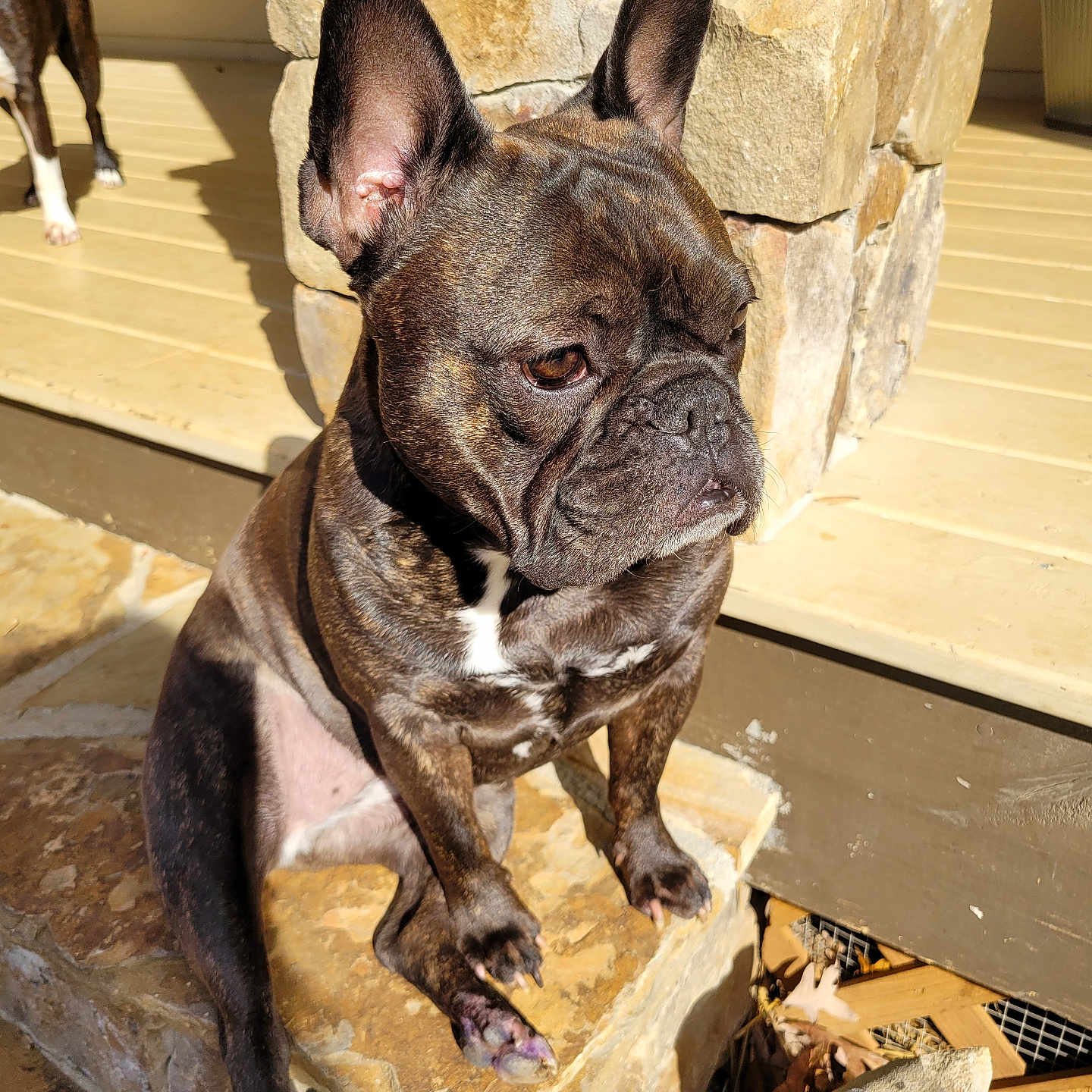 Maggie