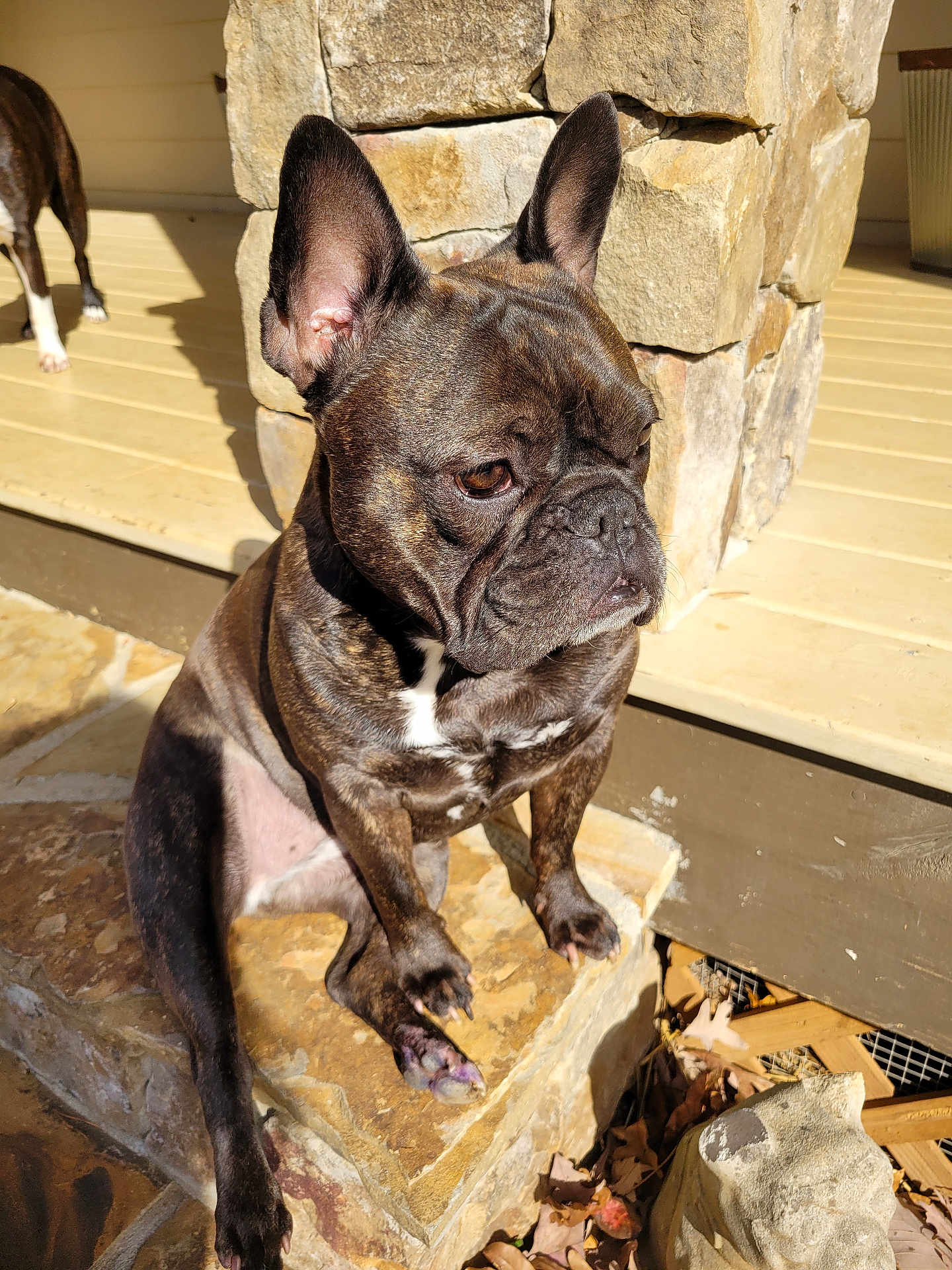 Maggie