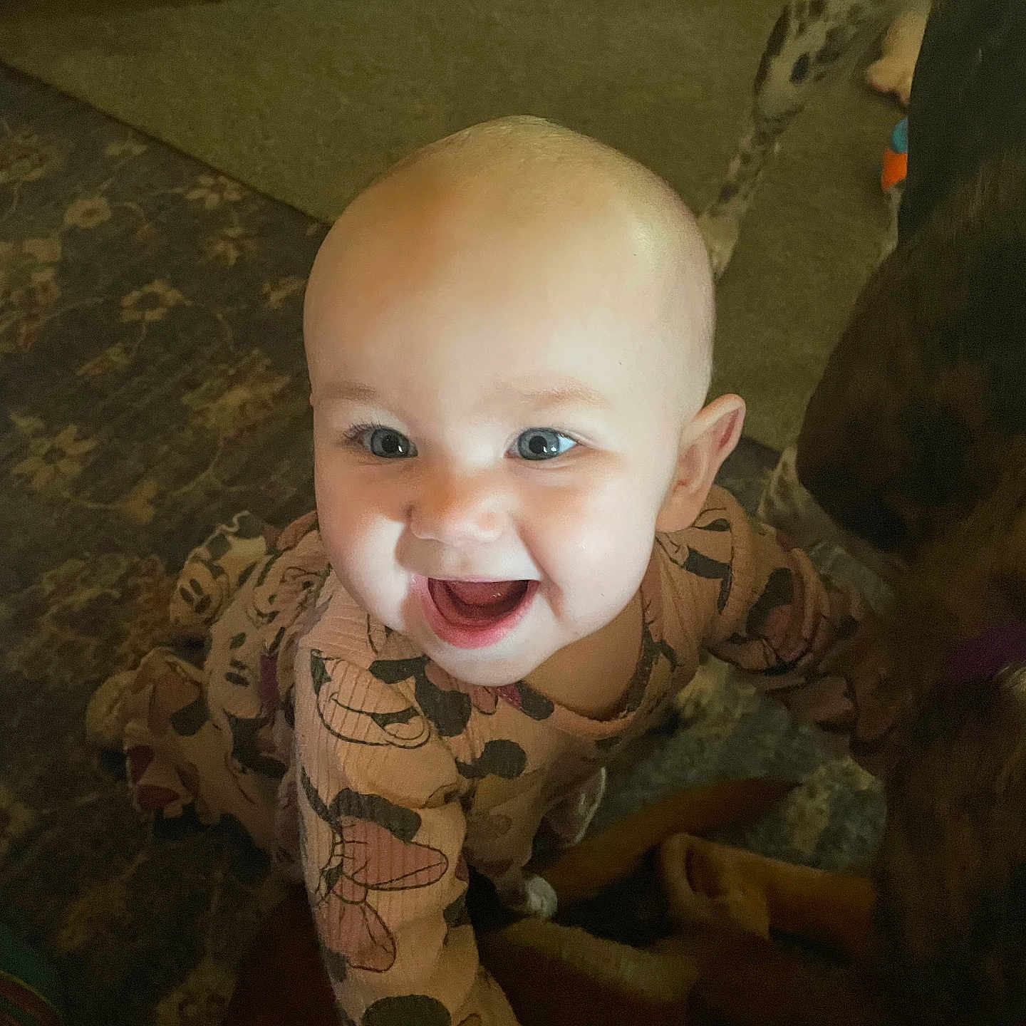 Haisleigh joined the competition — help win amazing prizes! animal, baby, carpet, child, curious, cute, dog, expression, face, floor, happy, indoor, joyful, patterned_clothing, person, pet, playful, reaching, smiling, young_child