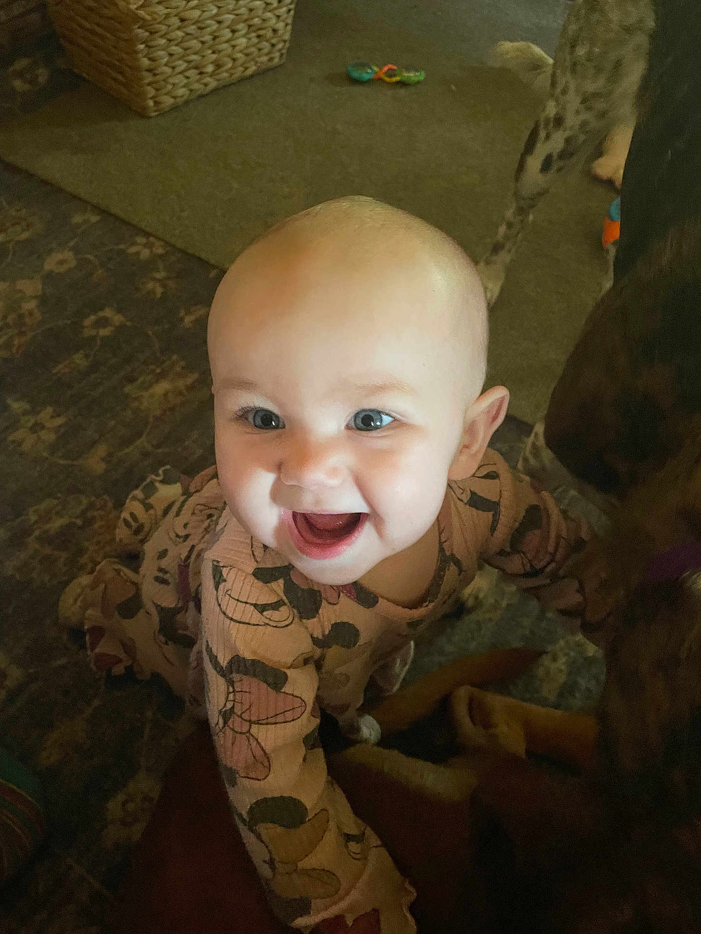Haisleigh joined the competition — help win amazing prizes! baby, smiling, indoor, carpet, dog, child, happy, curious, patterned_clothing, floor, face, person, animal, playful, young_child, joyful, cute, expression, reaching, pet