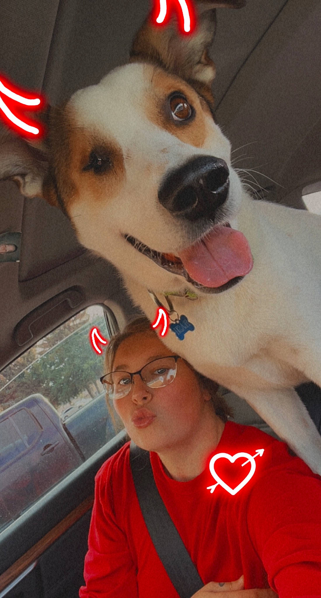 Flash joined the competition — help win amazing prizes! carnivore, collar, companion_dog, cool, dog, dog_breed, dog_collar, dog_supply, eyewear, fawn, jaw, leash, organ, selfie, snapshot, snout, t_shirt, whiskers, white, working_animal