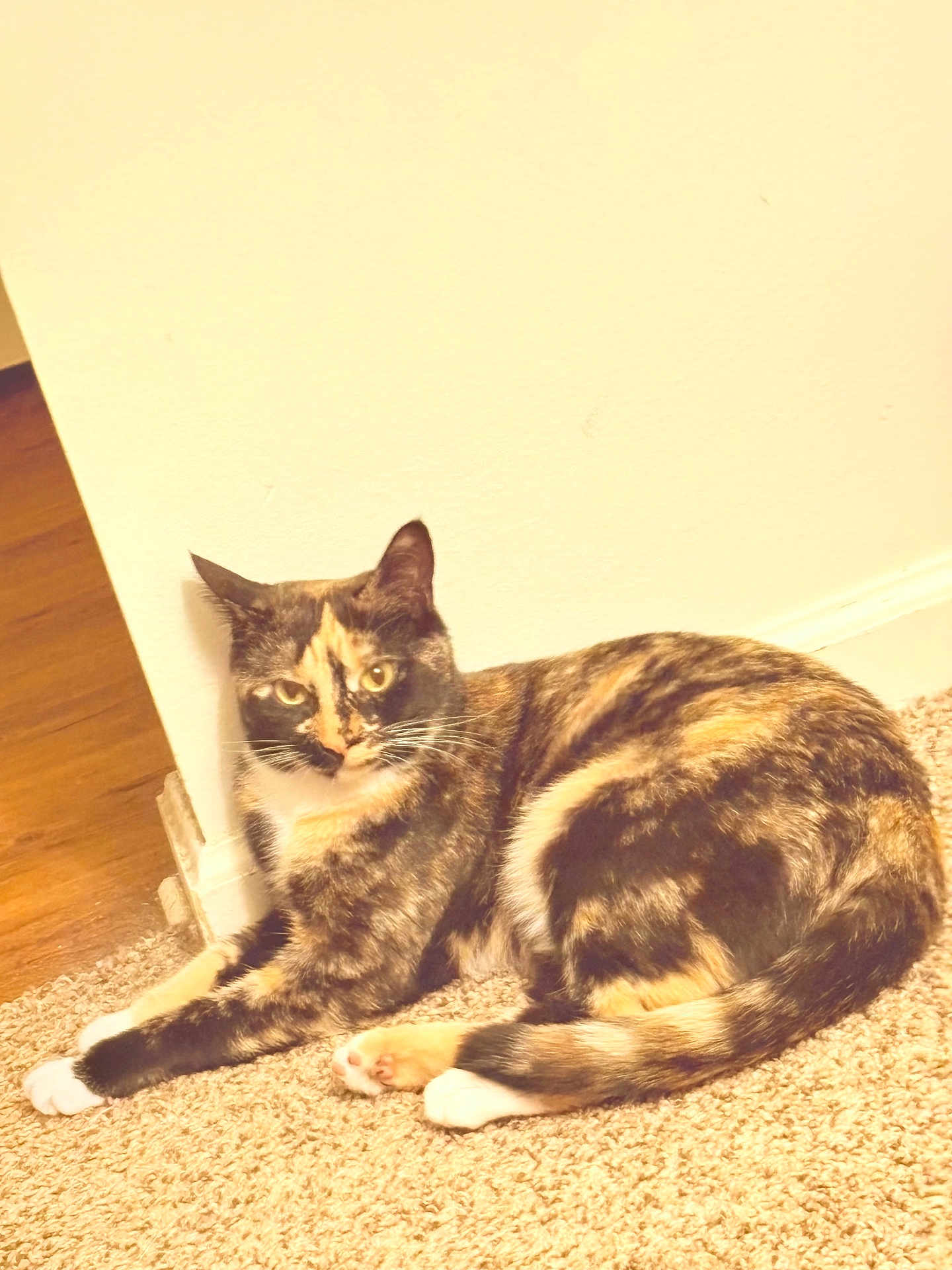 Penny