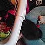 Puar is registered to the contest to win money with this photo: cat, black_cat, pet_bed, toy, blanket, hand, indoor, plastic_object, carpet, furry, animal, cozy, soft_toy, colorful, resting, furniture, household, comfort, feline, close_up