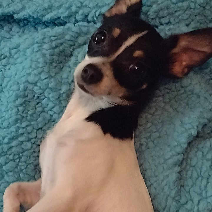 Lucy