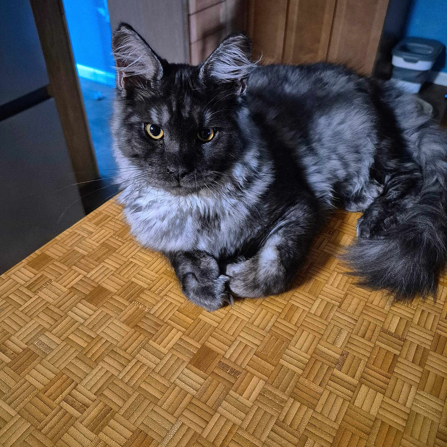 Maximus