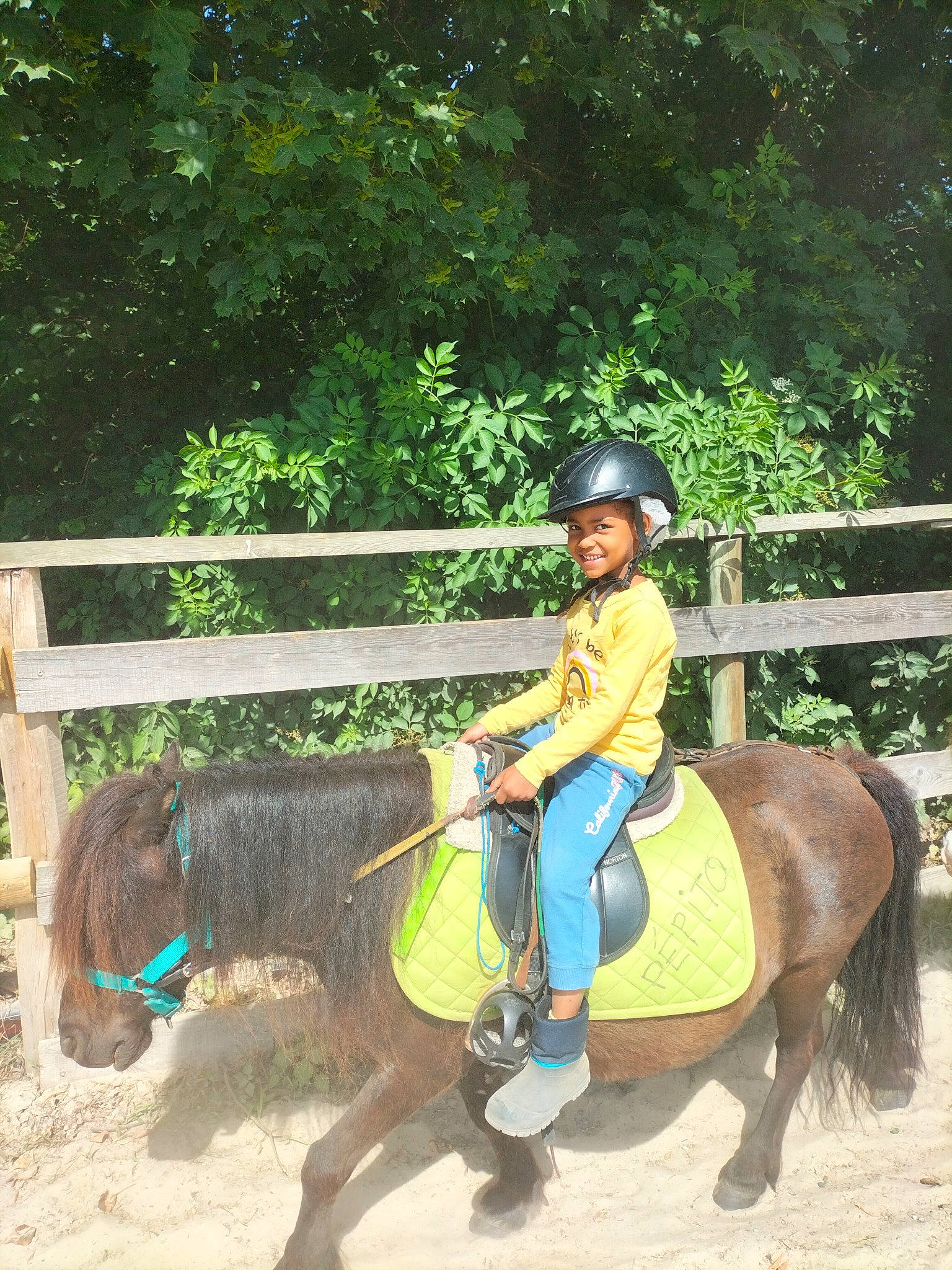 Sylvana a rejoint le concours — aidez-le/la à gagner de superbes lots ! bit, bridle, equestrian_helmet, equestrian_sport, equestrianism, fence, headwear, helmet, horse, horse_supplies, horse_tack, joy, mammal, outdoor_recreation, person, plant, rein, rural_area, saddle, summer