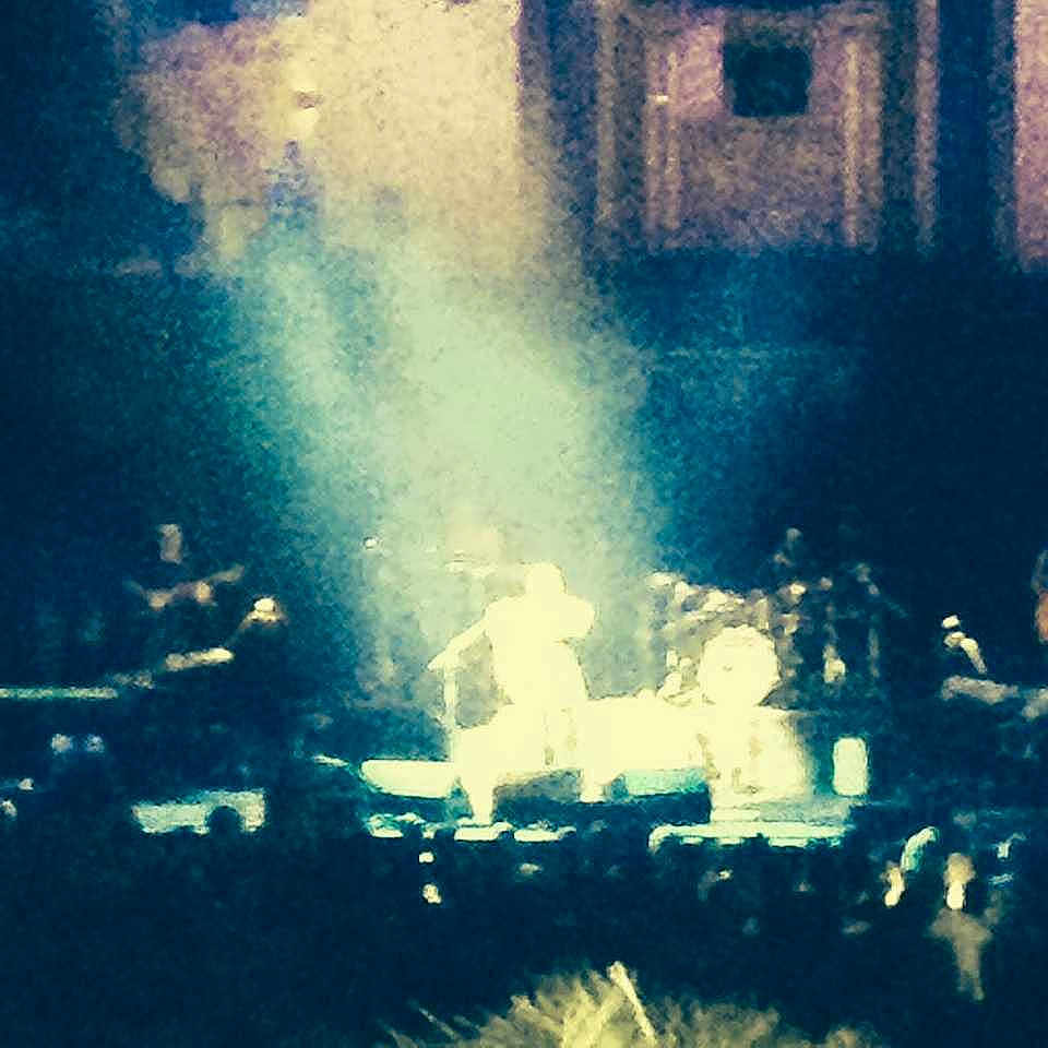 Cassie joined the competition — help win amazing prizes!