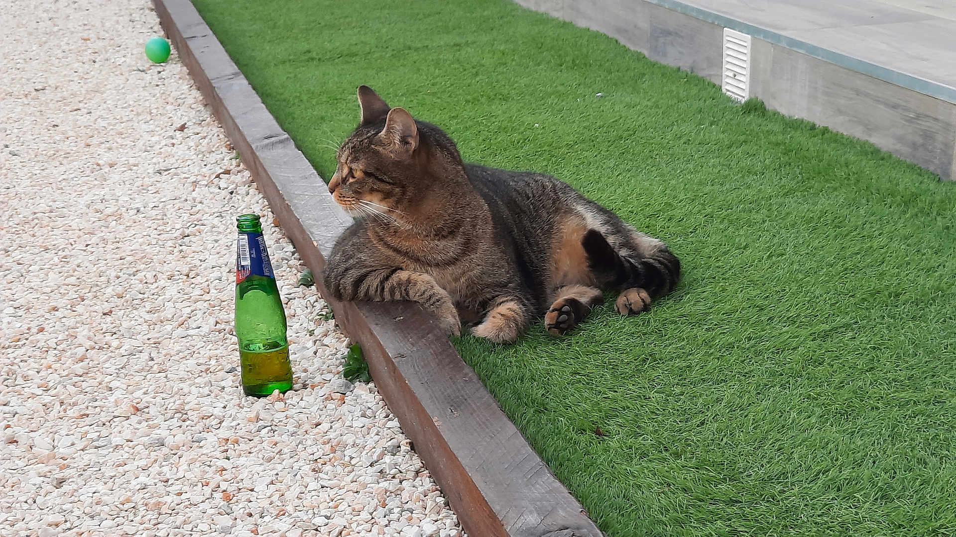 Ninou