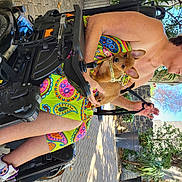 Mike a rejoint le concours — aidez-le/la à gagner de superbes lots ! automotive_design, automotive_exterior, automotive_tire, automotive_wheel_system, chest, cool, event, eyewear, fun, hairstyle, human_leg, leisure, luggage_and_bags, motor_vehicle, personal_protective_equipment, plant, sunglasses, thigh, tree, trunk